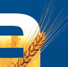 Grupa Azoty